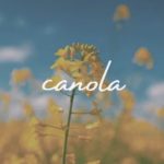 canola_logo